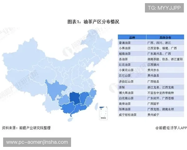 分析金沙集团在行业竞争中的历史优势与发展策略