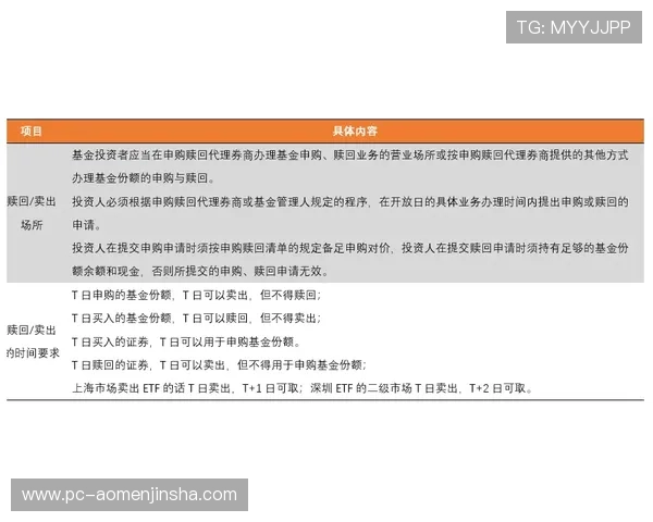 金沙事业编报名入口最新官方公告及详细流程指南帮助你顺利完成报名
